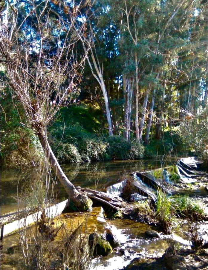 La Buhardilla De Torrecillas El Bosque Luaran gambar