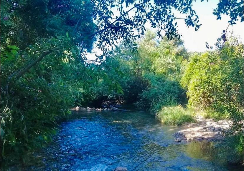 La Buhardilla De Torrecillas El Bosque Luaran gambar
