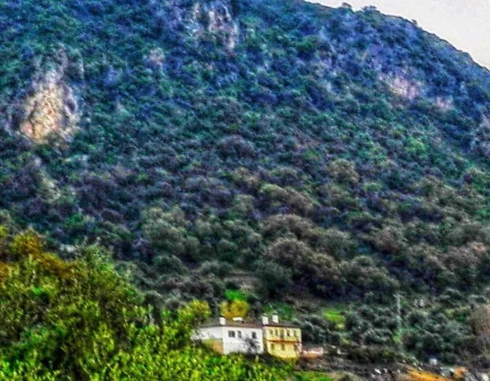 La Buhardilla De Torrecillas El Bosque Luaran gambar