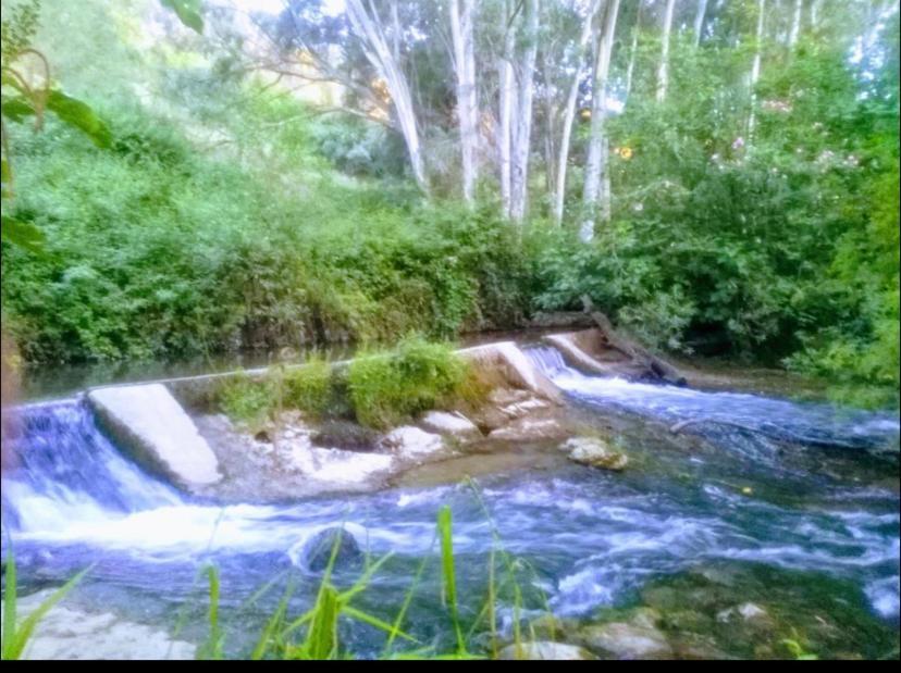 La Buhardilla De Torrecillas El Bosque Luaran gambar